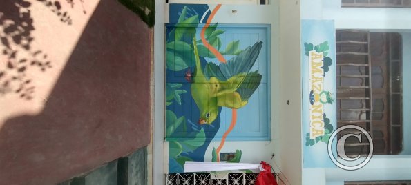 IMG_20250720_132249159_HDR