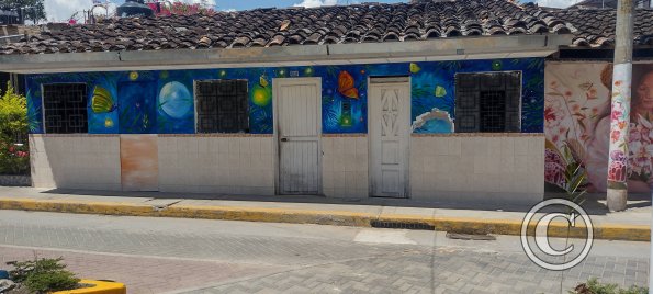 Jiron Esperanza y Jiron Bolivar (3)