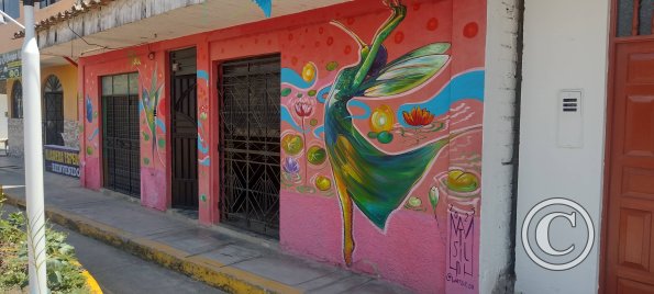 Jiron Esperanza y Jiron Bolivar (4)