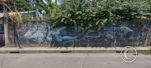 Jiron Esperanza y Jiron Bolivar (6)