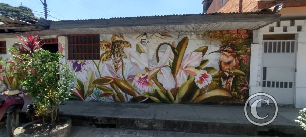 Jiron Esperanza y Jiron Bolivar (8)
