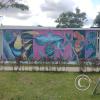 Mural - Carretera Presidente Fernando Belaunde Terry y Jiron 20 de Abril (2)