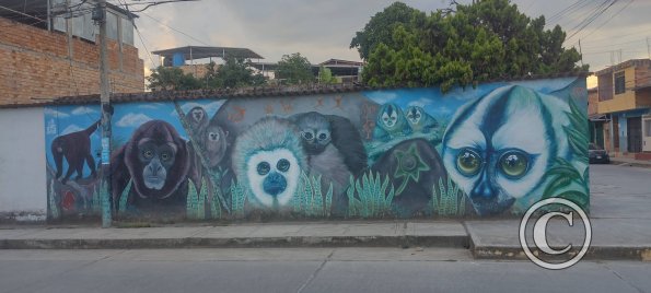 Mural - Jiron 20 de Abril y Jiron Emilio San Martin