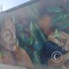 Mural - Jiron Alonso de Alvarado near Jiron Oscar Benavides (2)