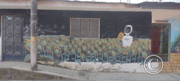 Mural - Jiron Damian Najar y Pasaje San Martin (2)