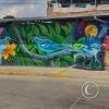 Mural - Jiron Emilio San Martin y Jiron Esperanza