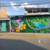 Mural - Jiron Esperanza y Jiron Emilio San Martin