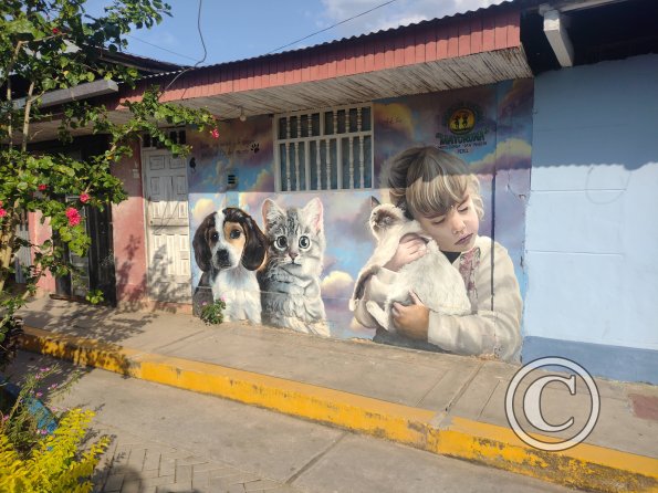 Mural - Jiron Esperanza