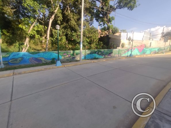 Mural - Jiron Evetamiento Rio Mayo (5)