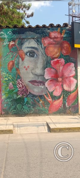 Mural - Jiron Oscar Reyes Benavides y Jiron 2 de Mayo