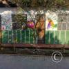 Mural - Jiron Pedro Canga near Jiron Pedro Pascasio Noriega (4)