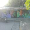 Mural - Jiron Pedro Pascasio Noriega y Jiron Pedro Canga