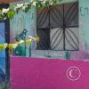 Mural - Jiron Puno y Jiron Bolivar (2)