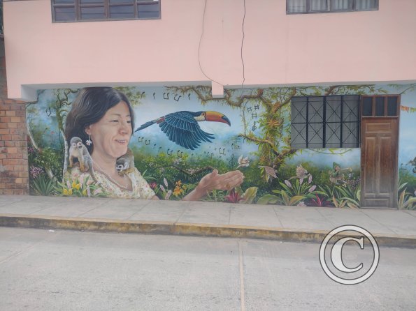 Mural - Jiron Reyes Guerra y Jiron Independencia (3)