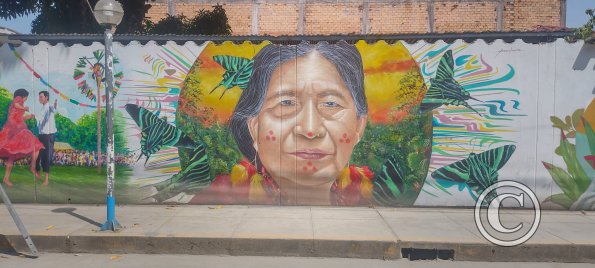 Mural - Jiron San Martin y Jiron Callao (3)