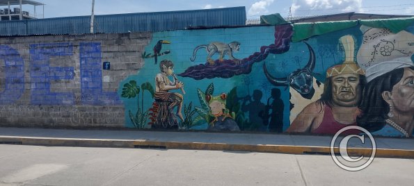 Mural - Jiron San Martin y Jiron Damian Najar
