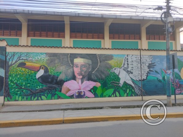 Mural - Jiron Serafin Filomeno y Jiron Varacadillo (3)