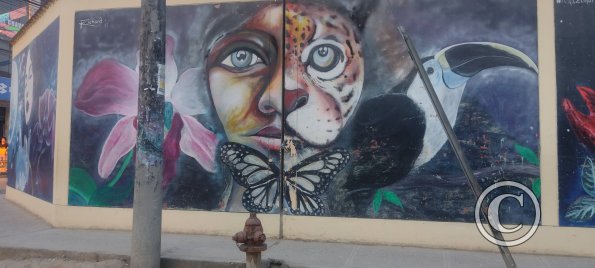 Mural - Jiron Varacadillo y Serafin Filomeno (2)