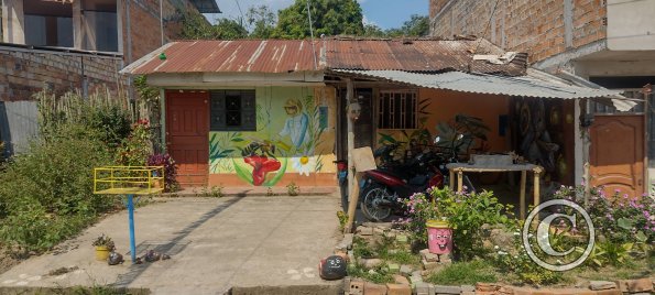 Mural - Pedro Canga near Jiron Independencia (2)