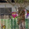 Mural - Pedro Canga near Jiron Pedro Pascasio Noriega (6)