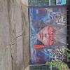 Mural on Jiron del Mayo near Jiron Pedro Pascasio Noriega (3)