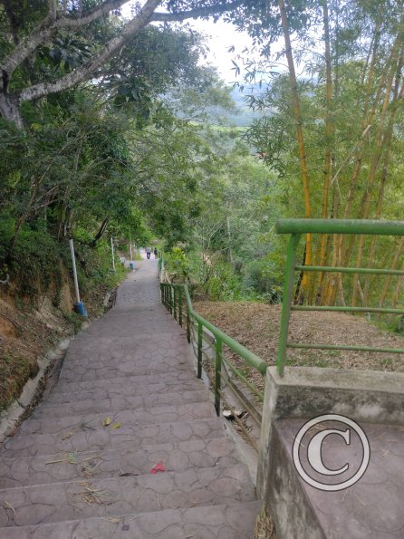 Punta de San Juan