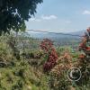 View of the valley to the north of Moyobamba from Tahuishco viewpoint