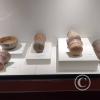 Museo Arqueológico Antonini (15)