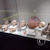 Museo Arqueológico Antonini (48)