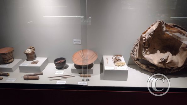 Museo Arqueológico Antonini (7)