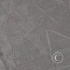 arana-nasca-lines