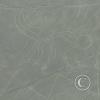 monkey-nasca-lines
