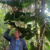 Hospedaje Refugio de Orquideas (16)