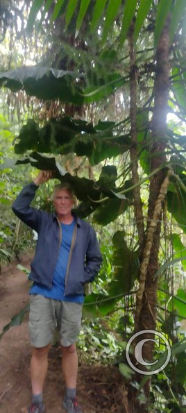 Hospedaje Refugio de Orquideas (16)
