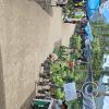 Jiron Malecon Tsachopen Saturday Market (6)