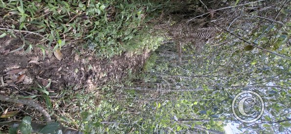 Las Cuevas de Chonta Trail