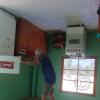 The Upside Down House - Road 106, Carretera Principal Chontabamba (21)