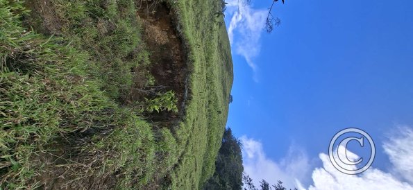 View of the top of the Las Cuevas de Chonta Trail