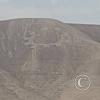 Some of the Palpa Geoglyphs visible from the city at Calle Peru y Sta. Rosa de Lima