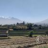 The Andenes (Terraces) archiological area still actively farmed