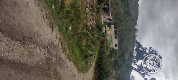 IMG_20250724_150046171_HDR