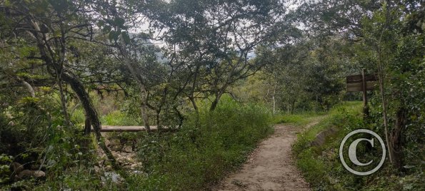 IMG_20250724_150202336_HDR