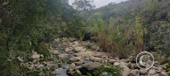 IMG_20250724_150723049_HDR