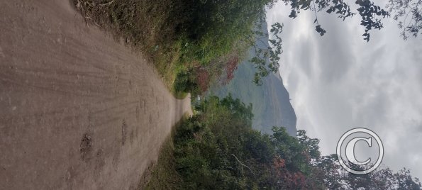 IMG_20250724_152253056_HDR