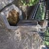 Cemetary (4)