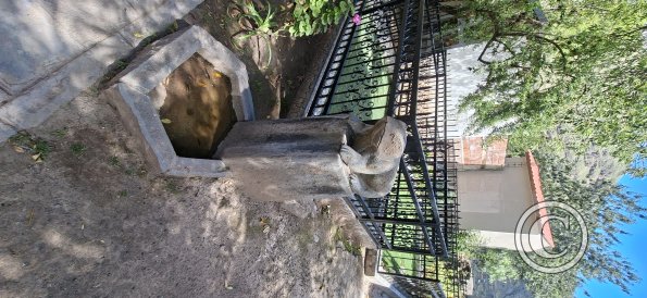 Cemetary (4)