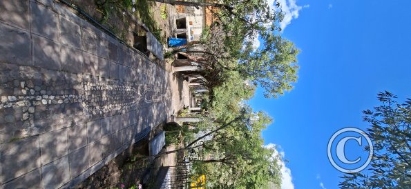 Cemetary (5)