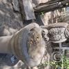 Cemetary (6)