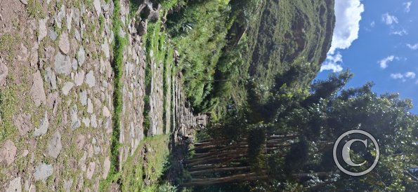 Old road going up to the Inca Ruins