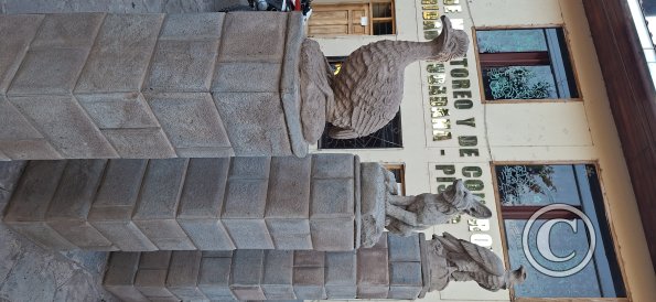 Sculpures at Malecon entrance at Av Federico Zamalloa (2)